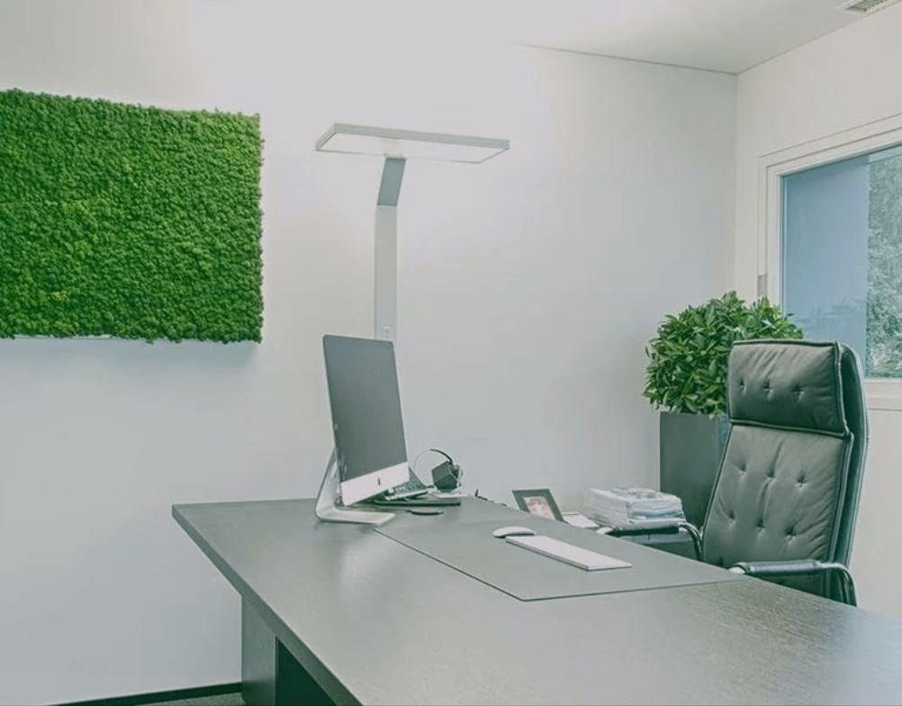 Helles Büro in der Zentrale Götzis mit Moosbild an der Wand